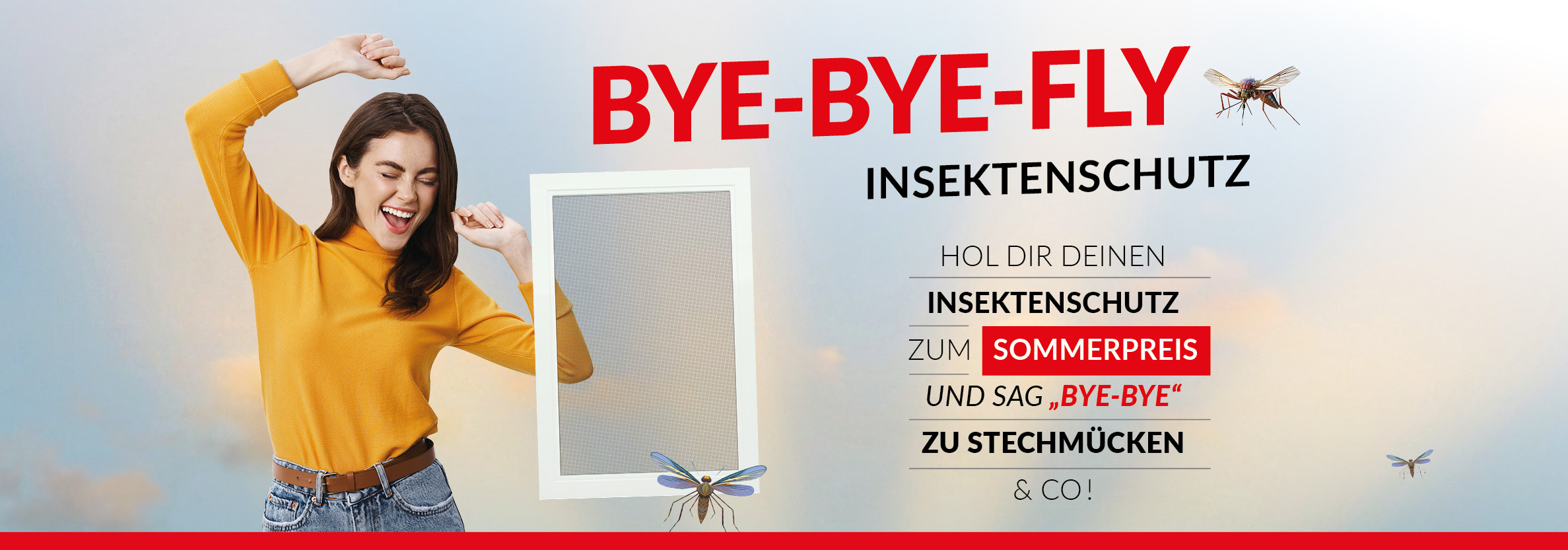 BYE-BYE-FLY Insektenschutz Sommerpreis 2026